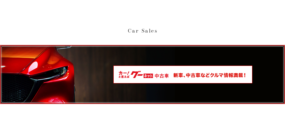 banner_goonet_on
